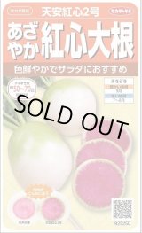 画像: 送料無料　[大根]　天安紅心2号　約400粒 　(株)サカタのタネ　実咲450（003089）