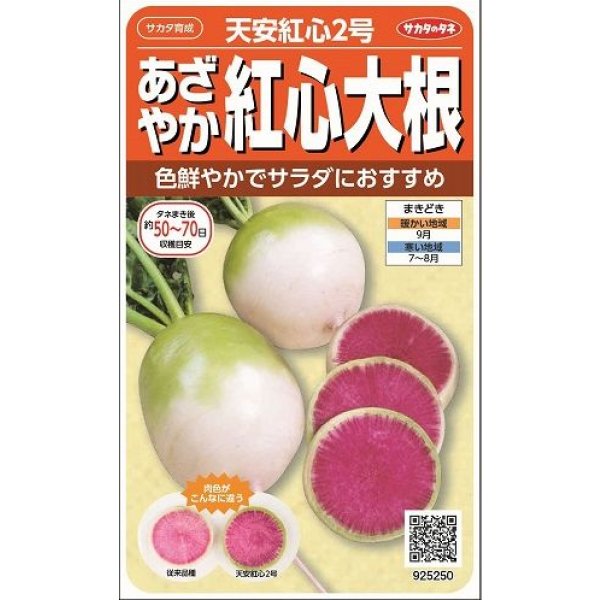 画像1: 送料無料　[大根]　天安紅心2号　約400粒 　(株)サカタのタネ　実咲450（003089） (1)