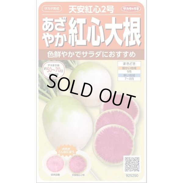 画像1: 送料無料　[大根]　天安紅心2号　約400粒 　(株)サカタのタネ　実咲450（003089） (1)