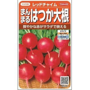 画像: [大根]　はつかだいこん　レッドチャイム　約350粒　サカタ交配　　実咲