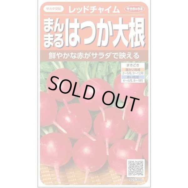 画像1: 送料無料　[大根]　はつかだいこん　レッドチャイム　約350粒　(株)サカタのタネ　実咲350（003093） (1)