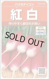 画像: 送料無料　[大根]　はつかだいこん　紅白　約525粒　(株)サカタのタネ　実咲250（003095）