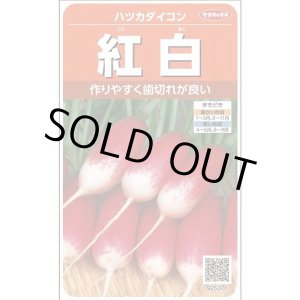 画像: 送料無料　[大根]　はつかだいこん　紅白　約525粒　(株)サカタのタネ　実咲250（003095）