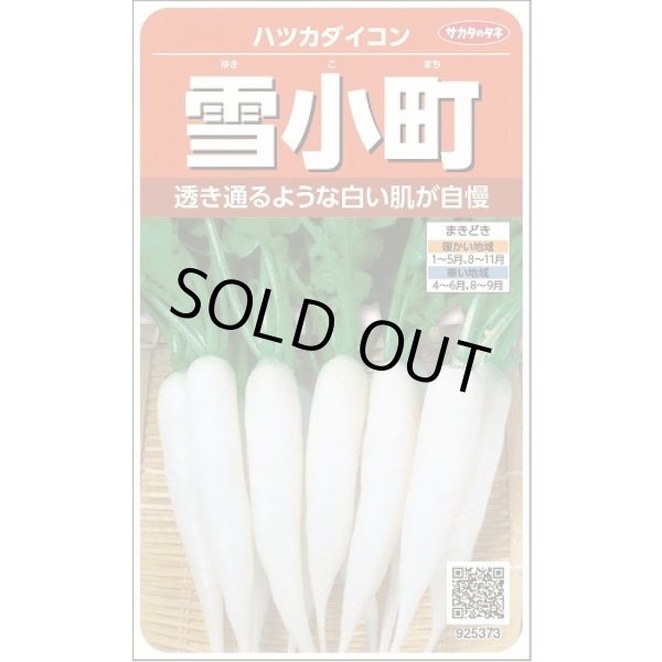 画像1: [大根] はつかだいこん 雪小町 約550粒 (株)サカタのタネ 実咲250(003097) (1)