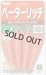 画像: [人参] ベーターリッチ ペレット 約350粒 (株)サカタのタネ 実咲450(003107)