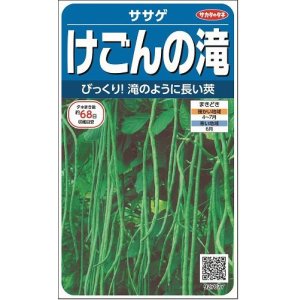 画像: [豆類]　ササゲ　けごんの滝　約35粒　サカタのタネ（株）実咲200