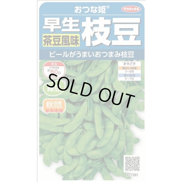 画像1: 送料無料　[枝豆]　おつな姫　約50粒　(株)サカタのタネ　実咲350（003155） (1)