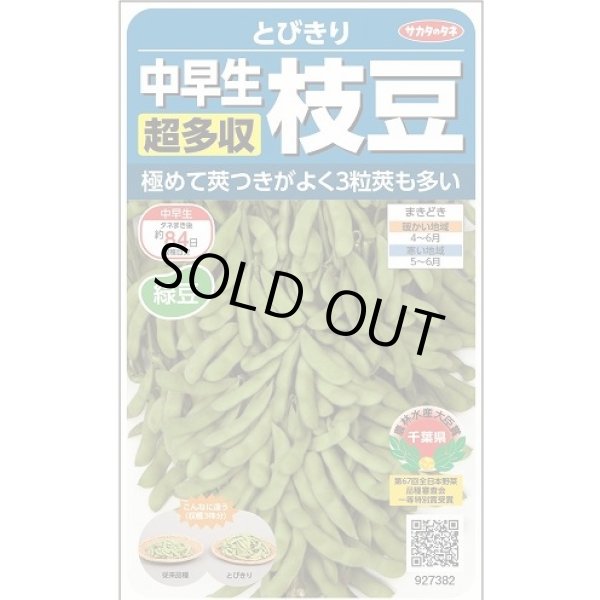 画像1: 送料無料　[枝豆]　とびきり　約40粒　(株)サカタのタネ　実咲350（003156） (1)