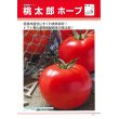 画像2: [トマト/桃太郎系]　送料無料！　桃太郎ホープ　1000粒 貴種（コートしてません） 　タキイ種苗（株） (2)