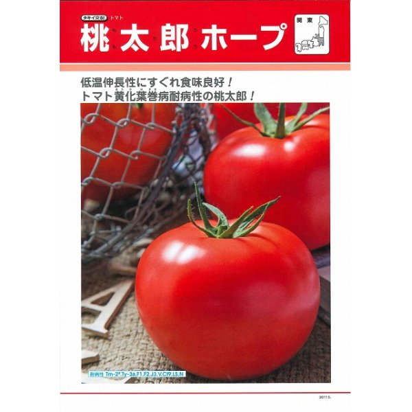 画像2: [トマト/桃太郎系]　送料無料！　桃太郎ホープ　1000粒 貴種（コートしてません） 　タキイ種苗（株） (2)