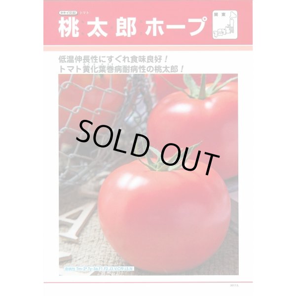 画像2: 送料無料　[トマト/桃太郎系]　桃太郎ホープ　1000粒　2L　ペレット種子　タキイ種苗(株) (2)