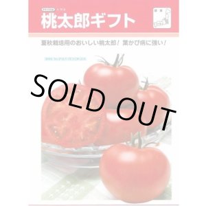 画像: 送料無料　[トマト/桃太郎系]　桃太郎ギフト　1000粒　貴種(コートしてません)　タキイ種苗(株)