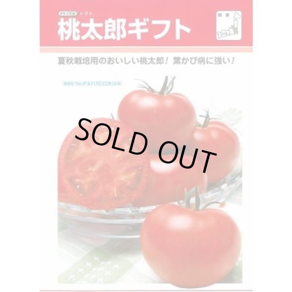 画像2: 送料無料　[トマト/桃太郎系]　桃太郎ギフト　50粒　貴種(コートしてません)　タキイ種苗(株) (2)
