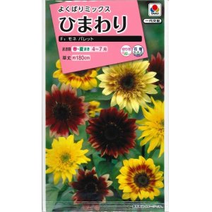 画像: 花の種　ひまわり　F1　モネ　パレット　小袋　タキイ種苗（株）