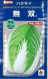 画像: 送料無料　[白菜]　無双　20ml　タキイ種苗(株)