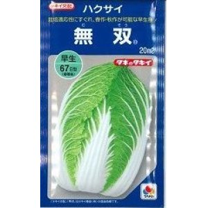 画像: [白菜]　無双　20ｍｌ　タキイ種苗（株）