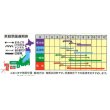 画像2: [キュウリ]　なるなる　18粒　ナント種苗（株） (2)