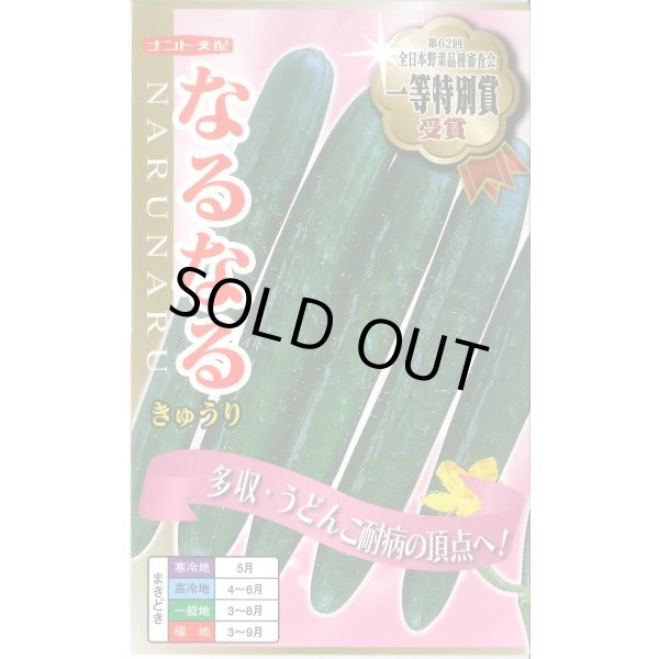 画像1: 送料無料　[キュウリ]　なるなる　18粒　ナント種苗(株) (1)