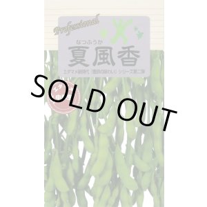 画像: 送料無料　[枝豆]　夏風香　70ml(およそ150粒)　雪印種苗(株)