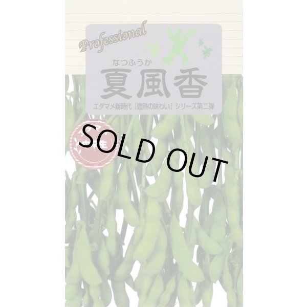 画像1: 送料無料　[枝豆]　夏風香　70ml(およそ150粒)　雪印種苗(株) (1)