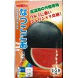 画像1: [スイカ]　小玉スイカ　なつここあ　200粒　ナント種苗（株） (1)