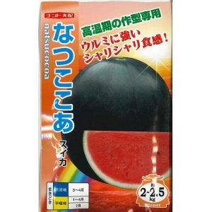 画像: [スイカ]　小玉スイカ　なつここあ　7粒　ナント種苗（株）