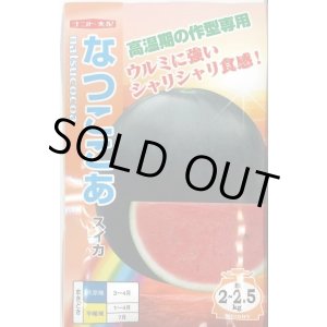 画像: 送料無料　[スイカ]　小玉スイカ　なつここあ　200粒　ナント種苗(株)
