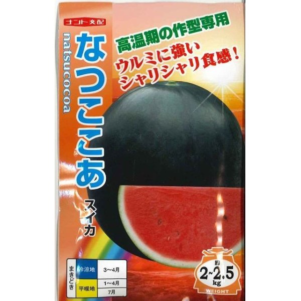 画像1: [スイカ]　小玉スイカ　なつここあ　200粒　ナント種苗（株） (1)