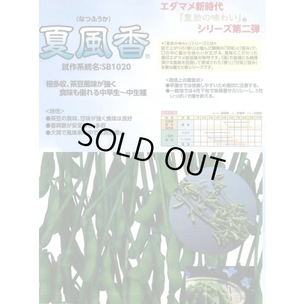 画像2: [枝豆]　夏風香　1L　雪印種苗(株) (2)