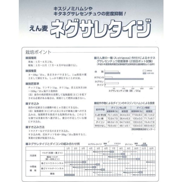 画像4: [緑肥]　アウェナ　ストリゴサ　ネグサレタイジ　1kg　タキイ種苗(株) (4)