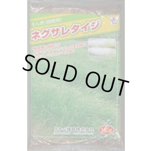 画像: [緑肥] アウェナ ストリゴサ ネグサレタイジ 1kg タキイ種苗(株)
