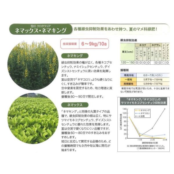 画像4: [緑肥]　クロタラリア　ネマックス　1kg　雪印種苗(株) (4)