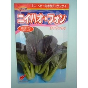 画像: [中国野菜]　チンゲンサイ　ニイハオ・フォン（赤チンゲンサイ）650粒　渡辺農事