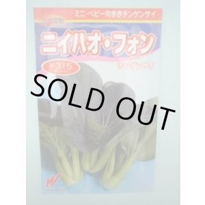 画像: 送料無料　[中国野菜]　チンゲンサイ　ニイハオ・フォン(赤チンゲンサイ)650粒　渡辺農事（株）