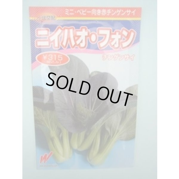 画像1: 送料無料　[中国野菜]　チンゲンサイ　ニイハオ・フォン(赤チンゲンサイ)5000粒　渡辺農事（株） (1)