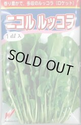 画像: 送料無料　二コル　ルッコラ　1dl　渡辺農事（株）