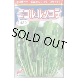 画像: 送料無料　二コル　ルッコラ　1dl　渡辺農事（株）