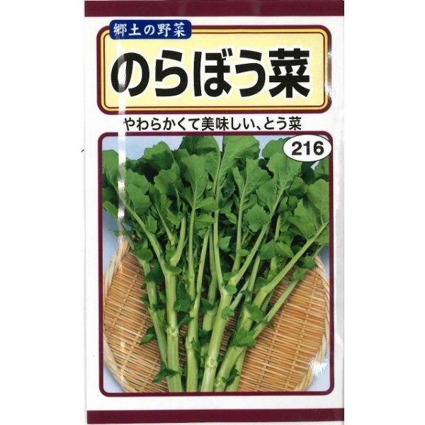 画像1: 送料無料　のらぼう菜　10ml　(およそ2,880粒)(株)　トーホク (1)
