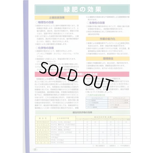 画像6: [緑肥]　ニューオーツ(アウェナストリゴサ)　1kg　カネコ種苗(株) (6)