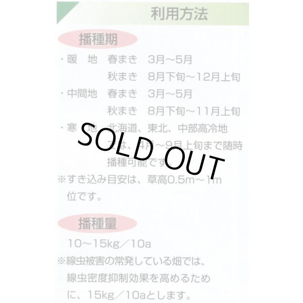 画像3: [緑肥]　ニューオーツ(アウェナストリゴサ)　1kg　カネコ種苗(株) (3)