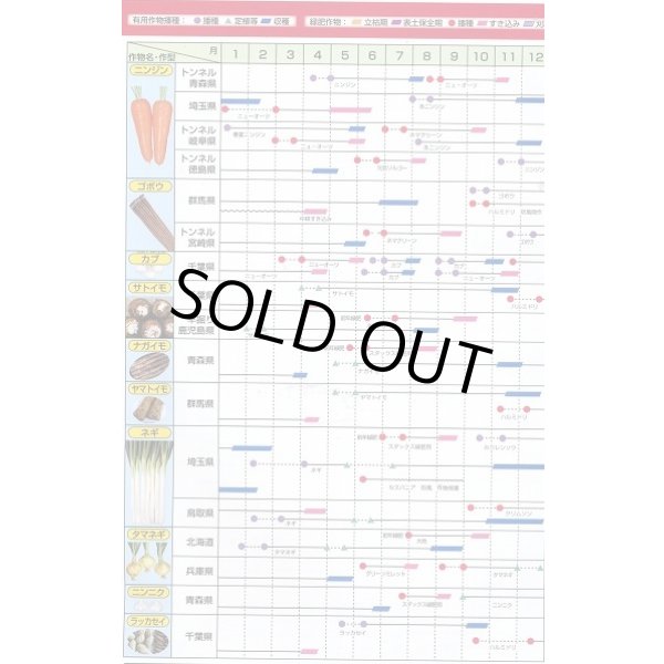 画像9: [緑肥]　ニューオーツ(アウェナストリゴサ)　1kg　カネコ種苗(株) (9)