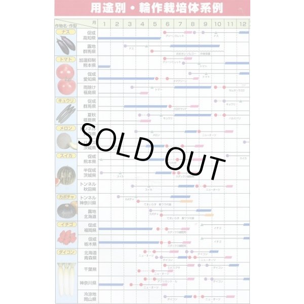 画像8: [緑肥]　ニューオーツ(アウェナストリゴサ)　1kg　カネコ種苗(株) (8)
