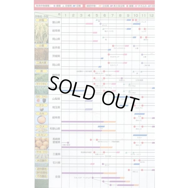 画像7: [緑肥]　ニューオーツ(アウェナストリゴサ)　1kg　カネコ種苗(株) (7)