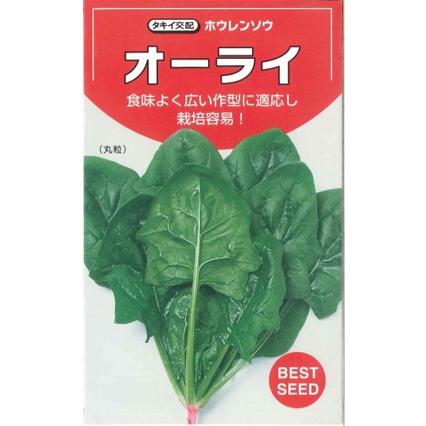 画像2: [ほうれんそう]　オーライ　1L　タキイ種苗(株) (2)