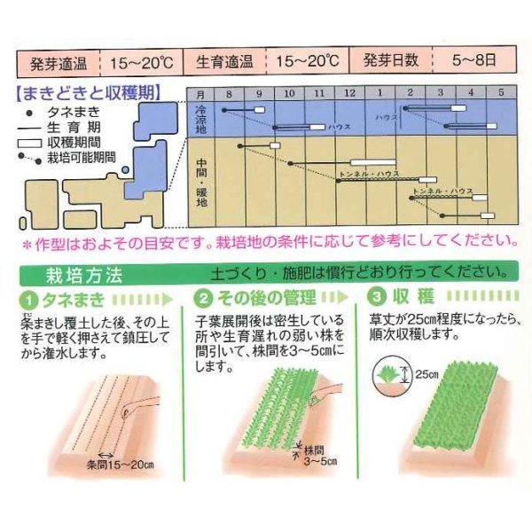 画像3: 送料無料　[ほうれんそう]　オーライ　1dl　タキイ種苗(株) (3)