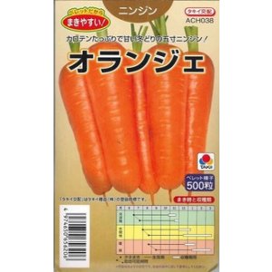 画像: 送料無料　[人参]　オランジェ　ペレット500粒　タキイ種苗(株)