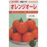 画像: 送料無料　[トマト/中玉トマト]　オレンジオーレ　100粒　カネコ交配