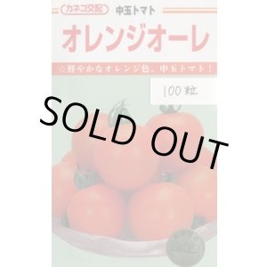 画像: 送料無料　[トマト/中玉トマト]　オレンジオーレ　100粒　カネコ種苗（株）