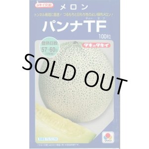 画像: 送料無料　[メロン]　パンナＴＦ　100粒　タキイ種苗(株)