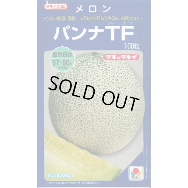 画像1: 送料無料　[メロン]　パンナＴＦ　100粒　タキイ種苗(株) (1)